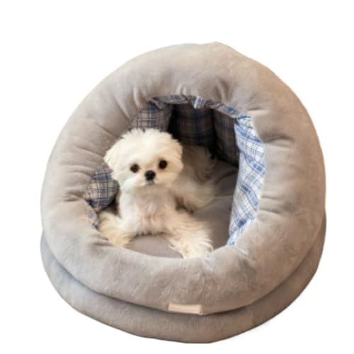 fBA[Opxbh lGΉ O\ 􂦂 pxbh ubZEeA efB ^p ybgLp Q \t@NbV t@bViuŉ (E,?15?)