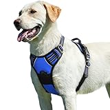 Eagloo Dog Harness for Large Dogs, No Pull Service Vest with Reflective Strips and Control Handle, Adjustable and Comfortable for Easy Walking, No Choke Pet Harness with 2 Metal Rings, Blue, L