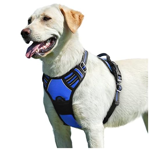 Eagloo Dog Harness No Pull, Walking Pet Harness with 2 Metal Rings and Handle Adjustable Reflective Breathable Oxford Soft Vest Easy Control Front Clip Harness Outdoor for Large Dogs Blue