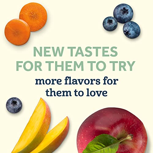 Gerber Organic Baby Food Pouches, Toddler, Apple Mango Raspberry Avocado & Oatmeal, 3.5 Ounce (Pack Of 12) #TOP2
