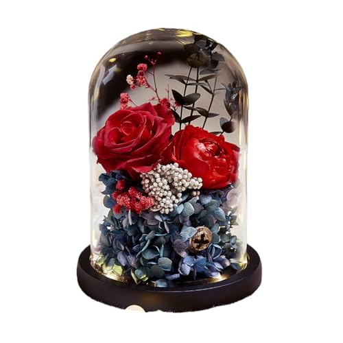 lC a v[g ỉ LO Ȃ Mtg KX|bg P[X Ԃ肴[ǃt[ KN ͂Ȃ bsOς   j ސEj ̓ j VN w  蕨 (JtȃCgMtg{bNX)