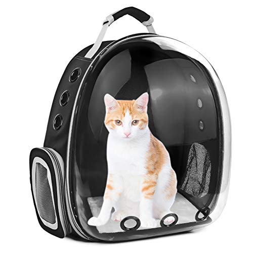 large cat backpack carrier