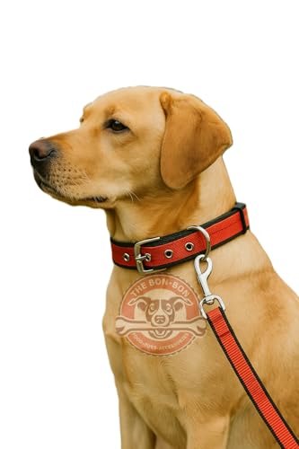 Image of THE BON BON Premium 5ft Dog Leash and Collar Set for Large Dogs | Heavy Duty Nylon with Reflective Stitching, Padded Handle, Adjustable Collar | Ideal for Walking and Training (Red, Large)