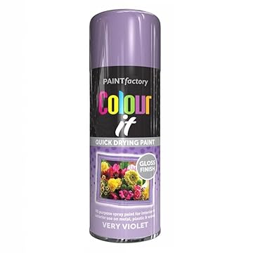 SuperGift.com Violet Gloss All Purpose Aerosol Spray Paint 400ml Quick Drying Spray, Fast Dry and Excellent Coverage for Metal, Wood, Plastic and More by Diva Gift