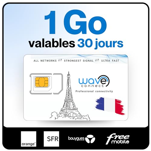 Wave Connect SIM Données France 4 Réseaux, 1 Go Valables 30 Jours, Bouygues, Free, Orange, SFR, 4G, 5G, Prépayée, Active dès La Première Utilisation, UE, IoT,...