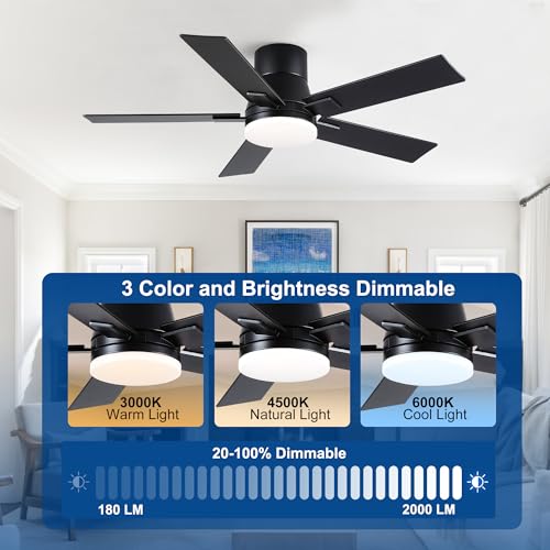 Image of Rayqueen 42 Inch Flush Mount Black Ceiling Fans with Lights and Remote