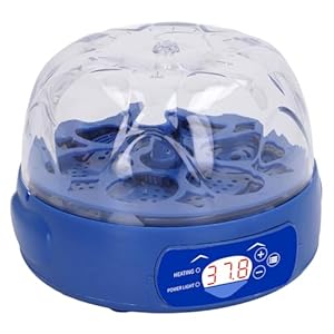 Zjchao Eier Inkubator 6 Eier Brutmaschine