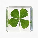 ESPETIO Real Four Leaf Clover Preserved Flowers in Clear Resin, Good Luck Charm Pocket Token, 1.5in Square Gift