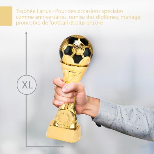 Larius Coppa D'onore Di Calcio In Oro E Argento Con Incisione A Scelta (Senza Testo Desiderato, Oro, Xl) - 6