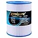 Produktbild POOLPURE Whirlpool Filter Replacement for Unicel C-8465, Pleatco PWK65 and Dally Hot Springs Filter (Invoice Available)