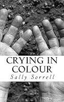 Crying in Colour: A Nonsense Novella 1492917958 Book Cover
