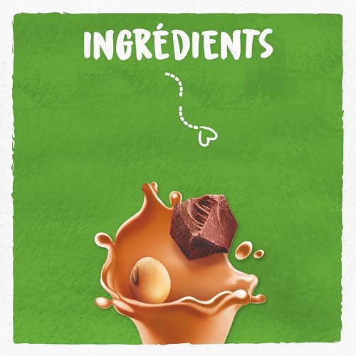 BJORG - Boisson Soja Chocolat - Une Boisson 100% Végétale - Riche En Protéines - Pauvre En Acides Gras Saturés - 1L