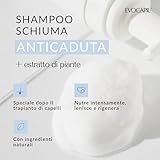 evocapil B0CZLPWTJ4 lato 2