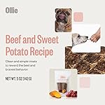 Ollie-Beef-and-Sweet-Potato-Jerky-Recipe-Dog-Treats-Dog-Jerky-Treats-All-Natural-Healthy-Dog-Treats-Beef-Jerky-for-Dogs-Real-Meat-Dog-Treats-5-Oz
