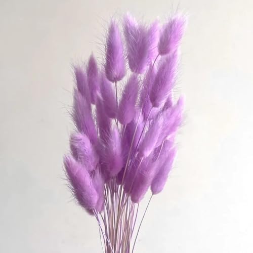 Pampas Grass Decor Tall 50Pcs Pink Purple Bouquet miniatura 1