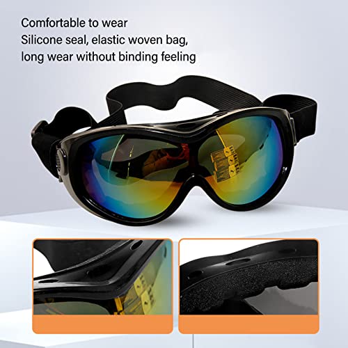 Lunettes de soleil de gros chien pour stopper les irritations oculaires liées au vent