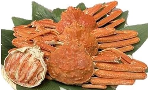 北海道産 ボイルズワイ蟹 姿 3Kg×3箱 箱約500g×6尾 バルダイ種 冷凍 業務用