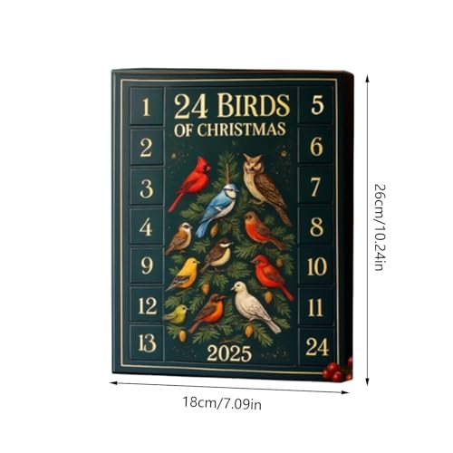 Cuenta regresiva de Navidad – Cuenta regresiva de Navidad con pájaros planos 2D, calendario de pájaros de 24 días, diseño decorativo colorido, decoración de temporada para niños, adolescentes, familia