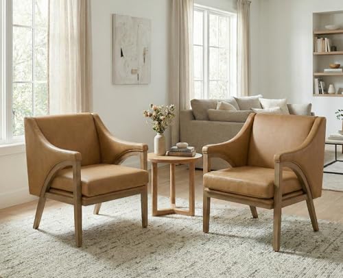 Mid Century Modern Accent Chairs Set of 2 with Barrel