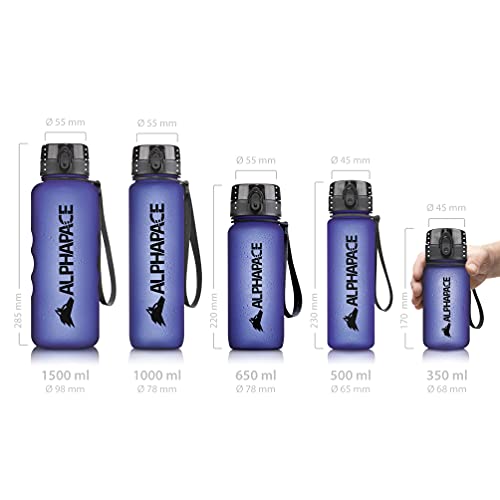 ALPHAPACE Botella de Agua 350ml/500ml/650ml/1000ml/1500ml a Prueba de Fugas Libre de BPA, para el Deporte y Las Actividades al Aire Libre, Botella Deportiva con un Filtro para Frutas - imagen 2