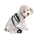 FANQIECHAODAN Hundeleine Weste Teddy Hundekette Kleiner Hund Medium Hund Reflektierende Hund Pull Seite Sicherheitsgurt Verstellbar Hundegeschirr Netzweste Welpen Brustgeschirr mit Leine