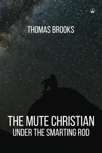 Preisvergleich Produktbild THE MUTE CHRISTIAN UNDER THE SMARTING ROD
