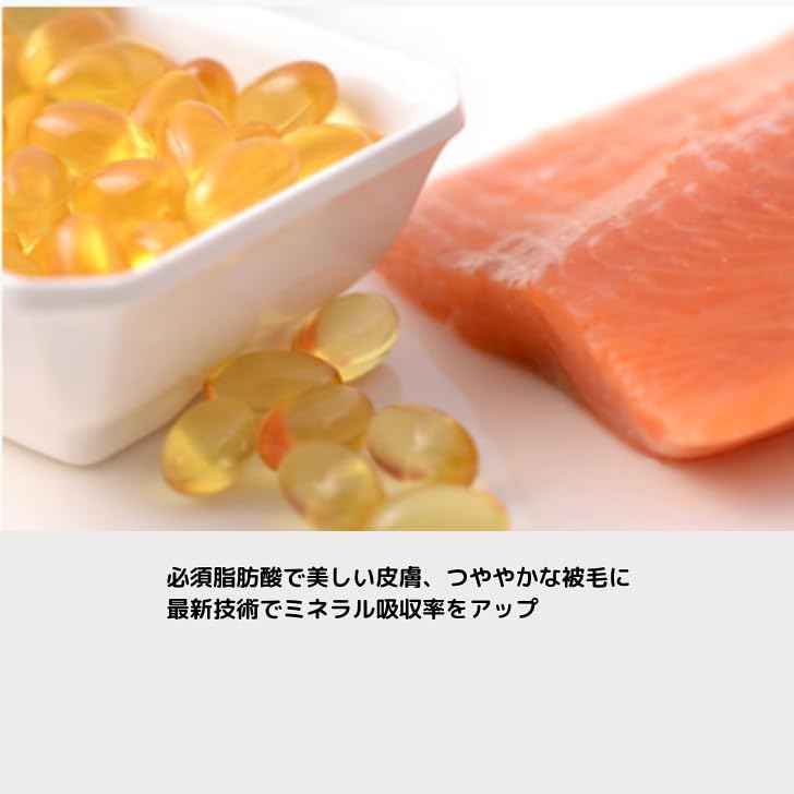 ソルビダグレインフリーチキン22.65kg送料無料 ソルビダオーガニック