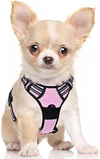 rabbitgoo Dog Harness Medium No Pull Pet Harness with 2 Leash Clips, Adjustable Soft Padded Pet Vest Harness, Reflective No-Choke with Easy Control Handle for Training or Walking, Purple, M