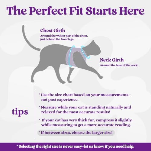 Image of rabbitgoo Cat Harness and Leash Set, Step-in Soft Vest, Black & Purple