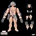 Marvel Legends Series Wolverine (Weapon X), Retro Cardback X-Men Comics-Inspired Collectible 6-Inch Scale Action Figure