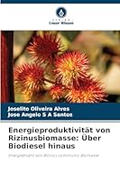 Energieproduktivität von Rizinusbiomasse: Über Biodiesel hinaus (German Edition) 6208931673 Book Cover