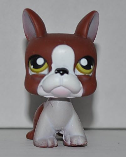 Littlest Pet Shop Boston Terrier #118 (Brown, Green Eyes, White Face/Paws) (Retired) Collector Toy - LPS Collectible Replacement Single Figure - Loose (OOP Out of Package & Print) image 4