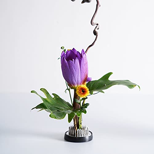 Smavles Flower Frog 4 Pieces Flower Arrangement Pin Flower Arranging Bases Ikebana Kenzan Flower Round Pin Holder Fixed Tools Stainless for Flower Arrangement Art Home Office Decoration(2.3/3.4/4.6cm) - Image 4
