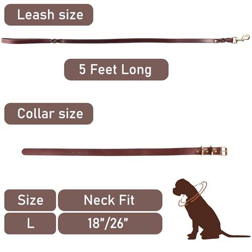 1,5 Meter Premium Leder Hundeleine und Halsband Set für stilvolle Hunde, weiches Lederhalsband und Starke doppelt geflochtene Leine, bequemes und sicheres Hundetraining, Spielen (Groß)