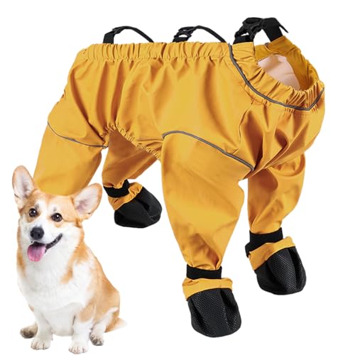 Chaussures pour animaux de compagnie haute protection hiver