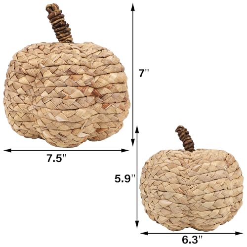 Image of winemana 2 Pack Pumpkin Fall Decor, Woven Wicker Pumpkins for Home, Beige | Cattail Material, Farmhouse Style, Autumn Thanksgiving Decorations, Fall Centerpieces for Table Porch Mantel Indoor