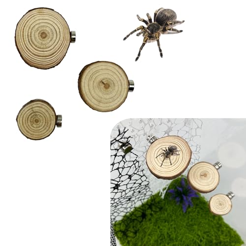 Okueejur 3 Pack Jumping Spider Enclosure Ledges with Magnets Natural Pine Spiders Ledges Magnetic Ledge Ladder Pet Jumping Spider Accessories (Round)