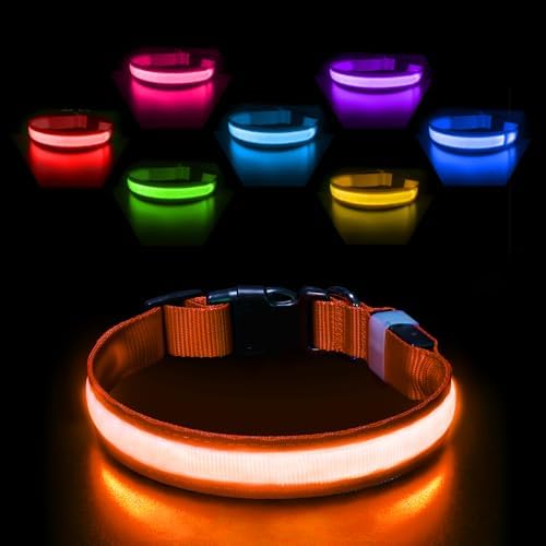 PcEoTllar Leuchthalsband Aufladbar, Einstellbar für Hunde Orange, M | LED Halsband mit 7 Farben & Blinkmodi. Aufladbar, wasserdicht & verstellbar für kleine bis große Hunde.