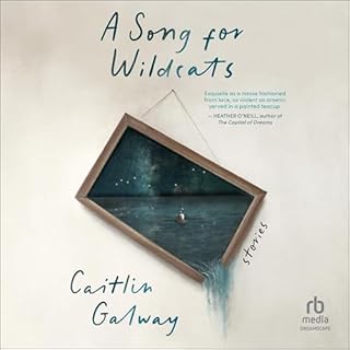 A Song for Wildcats cover art