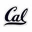 Cal Berkeley Golden Bears Primary