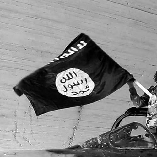 ISIS Never Really Went Away