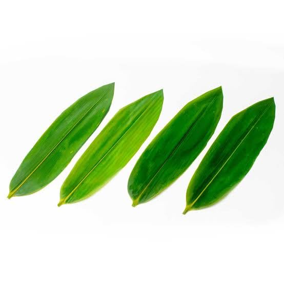 Lot de 100 feuilles de bambou authentiques et fraîches pour créations artisanales - 4