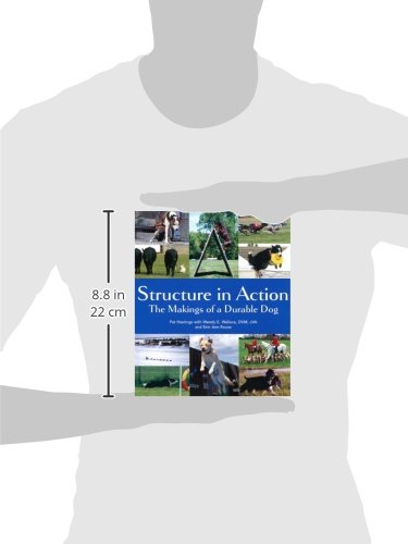 Structure in Action: The Makings of a Durable Dog - Image 2