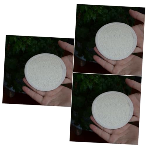 Éponge exfoliante visage Didiseaon : lot de 3 pads loofah