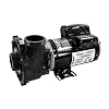 Waterway 3420610-1A Spa Pump Side Discharge - Image 4