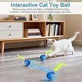 Kinizuxi B0FVSM6L61 lato 2