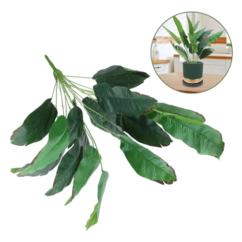 Review de Planta ave del paraiso precio disponible en línea. 18 Imagen adicional