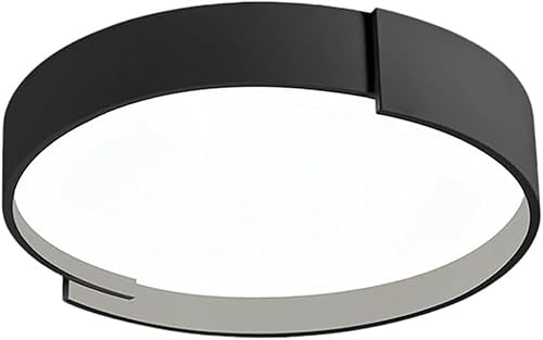 Dimmable Flush Mount Ceiling Light with Remote Control Adjustable 3000K to 6000K Round Modern Minimalist Ceiling Lamp for Bedroom Living Room