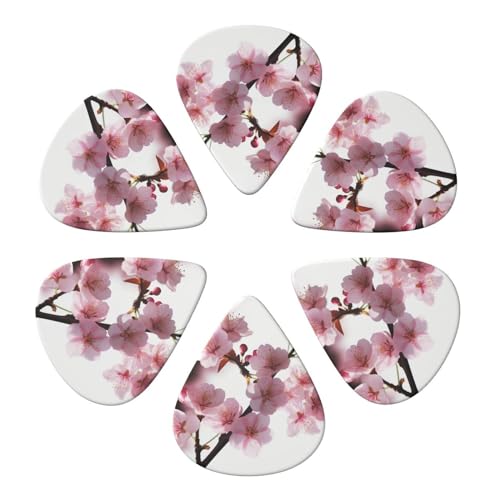 �M�^�[�s�b�N �s�b�N6�p�b�N �I�[�K�i�C�U�[���[�{�b�N�X�t�� ���͓I�ȍ� �x�[�X�s�b�N �G���L�E�N�����s�b�N�p �A�R�[�X�e�B�b�N�M�^�[�p 0.71mm