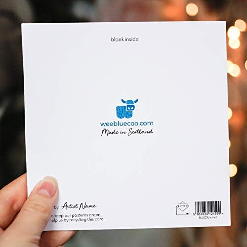 Wee Blue Coo Christmas Cards 6 Pack - Cute Owl Bird Snowflake Set Xmas Cards